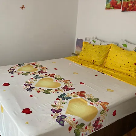 The Enchanting Flat Апартаменты Брашов